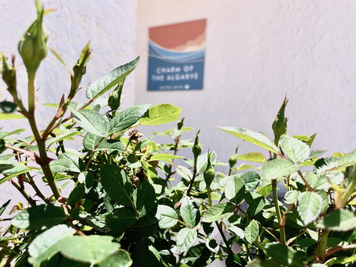 Charm Of The Algarve, Luxury Guesthouse Adults Only 오양 외부 사진