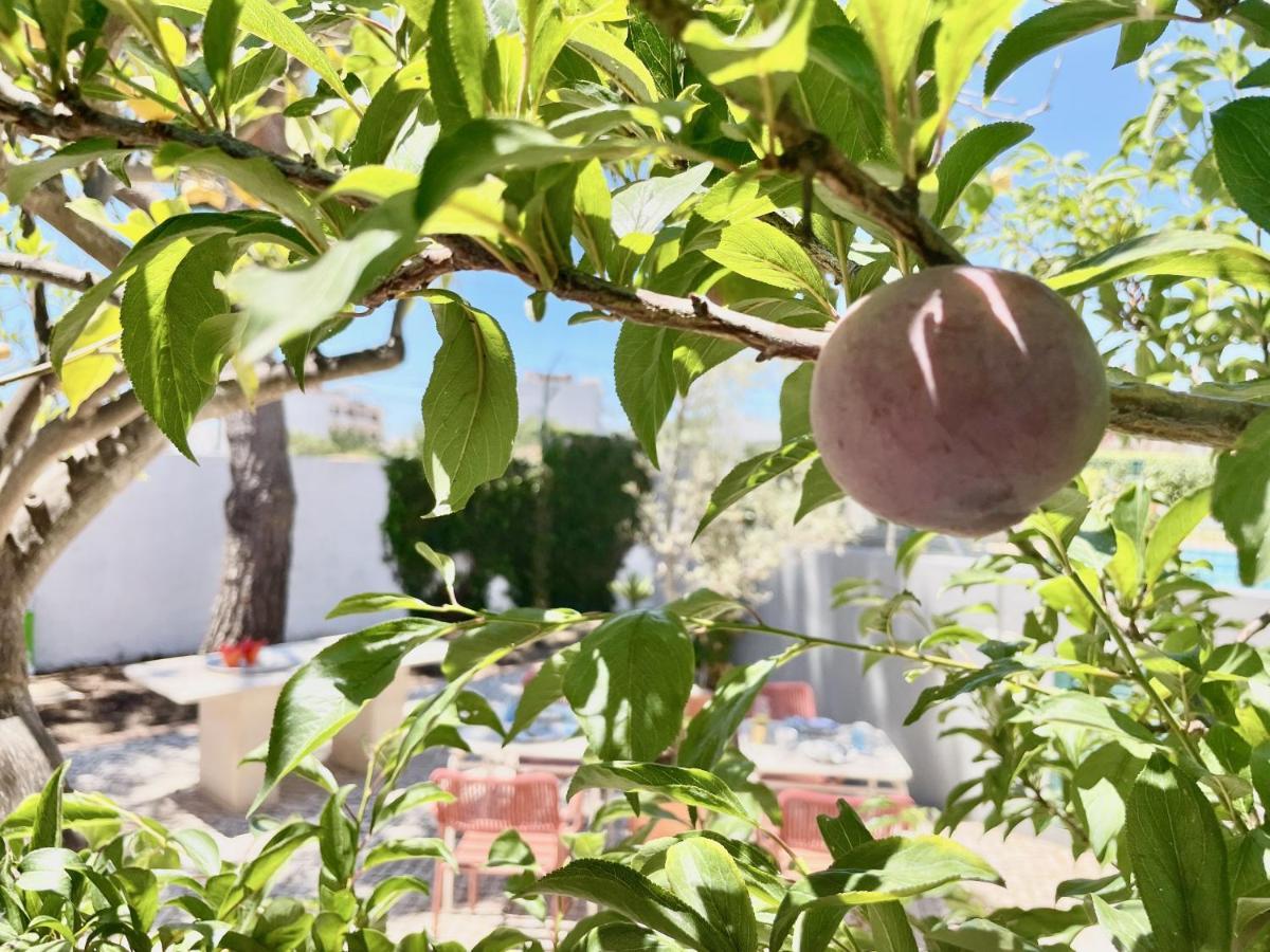 Charm Of The Algarve, Luxury Guesthouse Adults Only 오양 외부 사진